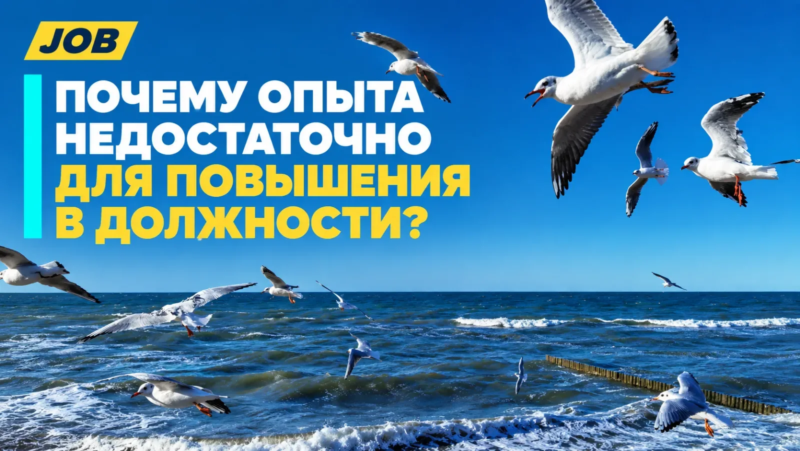 Почему опыта недостаточно для повышения в должности?
